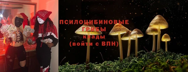 МДМА Белокуриха