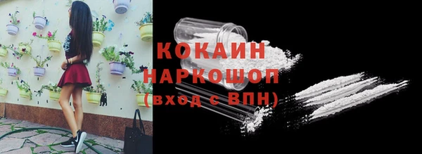 молекула духа Богородицк