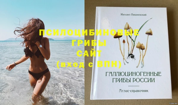 МДМА Белокуриха