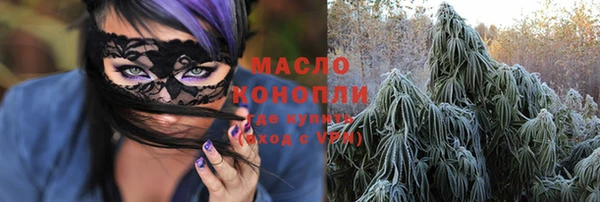 молекула духа Богородицк