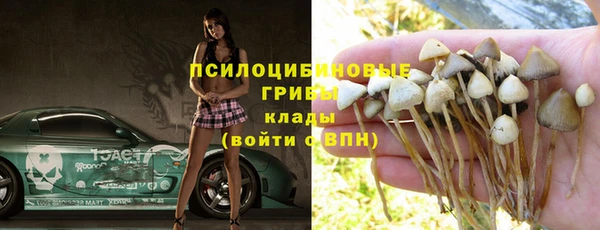 МДМА Белокуриха