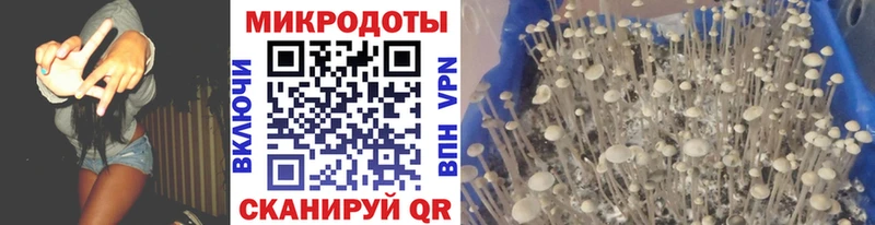 ОМГ ОМГ как войти  Кемерово  Галлюциногенные грибы MAGIC MUSHROOMS 